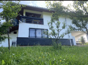 Vila Ponijeri